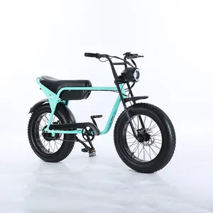 1500W 전기 오토바이 18Ah 듀얼 배터리 ebike 48V 전기 자전거 20 인치 타이어 fatbike LCD 하이브리드 판매 전기 사이클