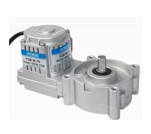 FAS-BL60 DC24V 40RPM <strong>FengTech</strong> Special Motor for Smoothie Machine FAX-BL70 FQB-BL70 DC12V 6.5RPM TT-BL 20RPM GF-64TYD AC220V/50HZ - Product Image 5