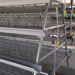 Jaulas para Gallinas Ponedoras Tipo A, Sistema Automático <span class=keywords><strong>de</strong></span> Equipos para Avicultura - Product Image 1