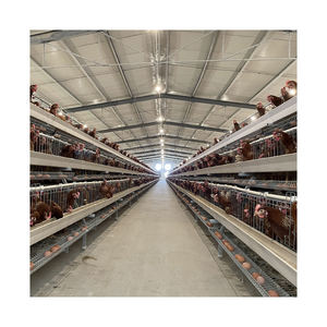 Jaulas <span class=keywords><strong>de</strong></span> batería automáticas para la venta Mejor <span class=keywords><strong>precio</strong></span> Capa <span class=keywords><strong>de</strong></span> <span class=keywords><strong>huevo</strong></span> Granja <span class=keywords><strong>de</strong></span> pollos Gallinas ponedoras Aves <span class=keywords><strong>de</strong></span> corral - Product Image 6