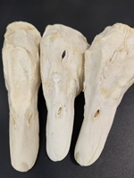 Têtes de canard lyophilisées naturelles, friandise pour animaux de compagnie, riche en protéines, à mâcher pour le nettoyage dentaire, pour chiens et chats, support OEM, vente en gros, approvisionnement en vrac