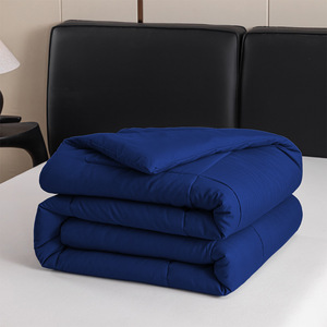 Nuevo edredón directo de fábrica Color sólido Four Seasons Home para primavera otoño Venta al por mayor para <span class=keywords><strong>Amazon</strong></span> Regalos de comercio exterior transfronterizo - Product Image 4