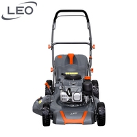 Tondeuses à gazon manuelles haut de gamme LEO LM48-2L(NP170) en gros pour la coupe de l'herbe