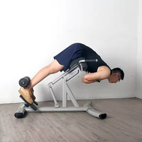 XOYOOU Banc d'hyperextension romain à dossier réglable, machine d'entraînement musculaire pour la musculation à domicile, vente chaude