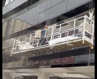 Plateforme suspendue en alliage d'aluminium WH-SP de qualité supérieure avec capacité de charge de 630 kg, verrou de sécurité LS30 pour la maintenance des bâtiments