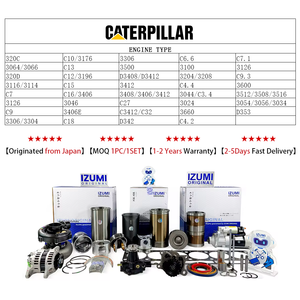 Kit di Revisione e Riparazione Originale IZUMI per Motori Diesel <span class=keywords><strong>CAT</strong></span> <span class=keywords><strong>3204</strong></span> 3208, Set di Cilindri per CATERPILLAR - Product Image 2