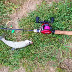 LUTAC Set <span class=keywords><strong>de</strong></span> pêche Appât White Minnow Melon seed Spinning Microfish Hand Binding Undamed line Throwing Aid String Predatory Carp - Product Image 4