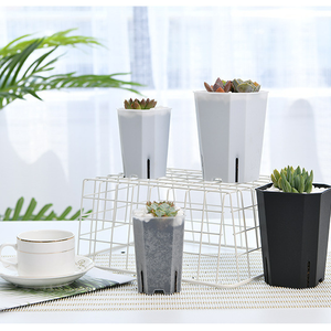 Оптовая продажа, прозрачный пластиковый горшок для растений, литьевая форма, садовый горшок для бонсай, пластиковые горшки для растений - Product Image 1