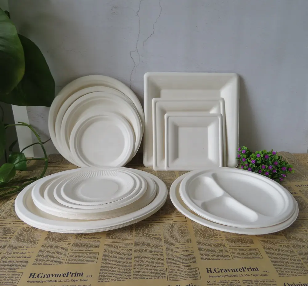 Disposable Round Square Oval Sugarcane Bagasse Paper Plates for Food Biodegradable Disposable