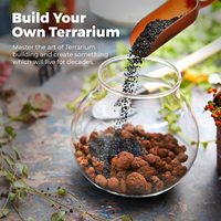 Kit de démarrage de terrarium de bouddha moderne plantes succulentes et plantes en verre géométriques pour la maison ou le jardin