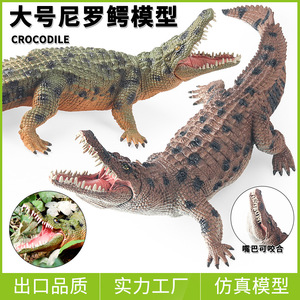 Modèles d'animaux sauvages grand format yxs : crocodile du Nil, crocodile impérial, alligator chinois, sanglier, jouets pour enfants - Product Image 1
