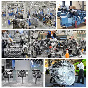 चीन Wechai श्रृंखला डीजल इंजन पैदा 3 चरण 4 तार चुप प्रकार जनरेटर सेट