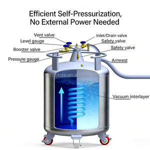 Serbatoio Criogenico da Laboratorio YDZ-230 Contenitore per Azoto Liquido 200L per Uso Medico e Conservazione di Vaccini nella Catena del Freddo - Product Image 5