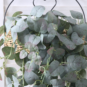 Décoration de plante verte d'intérieur, vigne d'eucalyptus artificielle, suspension murale avec feuilles d'argent porte-bonheur, style rustique - Product Image 4