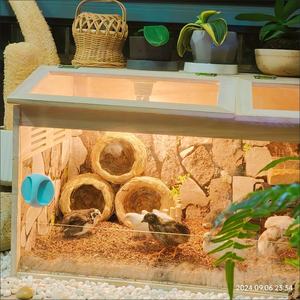 Nueva Jaula Portátil de Madera para Hámster con Techo Abierto, Casa para Mascotas Pequeñas, para Cobayas, Lámina Acrílica - Product Image 4