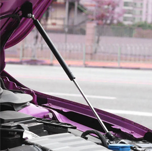 Vérins à gaz cylindriques en acier sur mesure à prix avantageux pour hayon arrière/supports de coffre/espace de chargement pour BMW, usage mobilier - Product Image 3