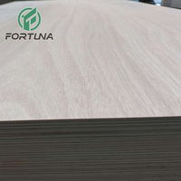 12mm 15mm 19mm 21mm Contenedor Armario Okouma Tablero de madera contrachapada