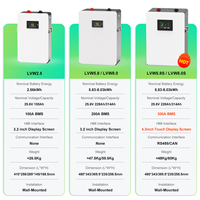 Batterie de stockage d'énergie solaire hybride divisée 25,6 V LiFePO4 100 Ah 2,56-8 kWh, garantie longue durée 8000 cycles