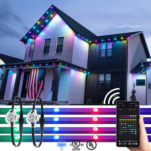 Vente en gros OEM : Lumières de Noël permanentes 200ft 300ft 500ft DC12V 24V IP68, Éclairage de point pixel pour bâtiments - Product Image 1