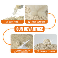 Litière pour chat en gros de haute qualité OEM 6L 7L Litière pour chat au tofu Fournitures naturelles Meilleur prix Litière pour chat au tofu