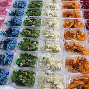 Mélange de Fleurs Séchées et Stabilisées en Gros, en Boîte ou en Sachet pour Bougies et Petits Matériaux de Résine DIY - Product Image 6