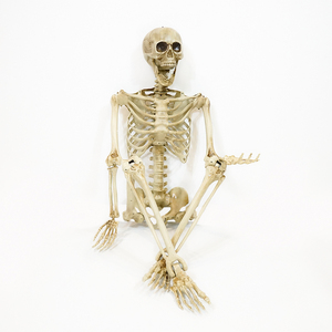 Décoration d'<span class=keywords><strong>Halloween</strong></span> animée de fantôme hanté de taille réelle de 165 cm pour l'intérieur et l'extérieur, vente en gros - Product Image 3