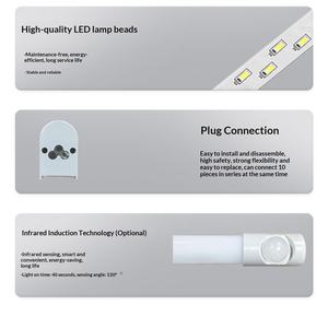 Lámpara LED <span class=keywords><strong>Dema</strong></span> para Caja de Distribución y Armario de Comunicaciones, Iluminación T5, Serie DLC, 220V, Inducción, Multi-Zócalo, Económica - Product Image 4