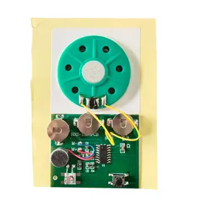 Factory Wholesales Light Sensor Sound Module Recorder Sound Chip For Cards