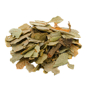 Extracto de Planta Natural 10:1 20:1, Extracto de Hojas de <span class=keywords><strong>Boldo</strong></span> en Polvo - Product Image 3