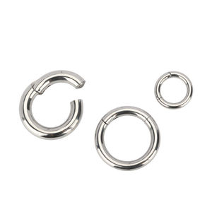 Phẫu Thuật Thép 316L Hoop Nhẫn Mũi Nhẫn Kích Thước Lớn Đồ Trang Sức Clicker Phân Khúc Nhẫn Bán Buôn - Product Image 4