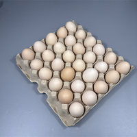 Plateau d'oeufs en pâte de papier brun naturel personnalisé en usine 30 œufs support de remplissage d'oeufs de poule biodégradable en vrac moule Agriculture
