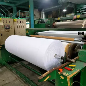 Spunlace Chemical Bonded Sisal Fiber Material Non Woven Fabric In Rolls For Bag Making In Saudi Arabia