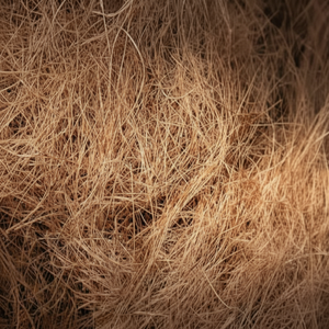 Fibre de coco de qualité exportée, fibre de coco forte et propre, parfaite pour les grossistes mondiaux et les acheteurs industriels - Product Image 1