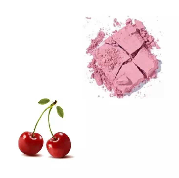 Cherry Fruit Powder Factory Supply 100% pure acerola cherry fruit extract powder 25% vc vitamin c powder