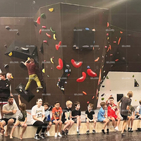 Mur d'escalade d'intérieur pour adultes, mur de bloc, salle de sport, aire de jeux, prix d'usine