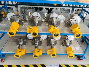 Jauge de niveau radar en acier inoxydable pour la mesure des liquides et des solides - Product Image 1
