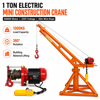 Mini-grue de construction électrique 1 tonne 220V, palan de levage de matériaux de construction, grue à bras articulé