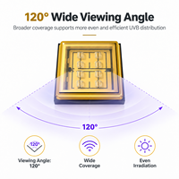 Dispositif Photonique Supérieur 3W, Éclairage Purifiant à Bande Étroite, Angle de Vision de 120°, Lampe Clinique à Lentille Plate, Dispositif Photonique