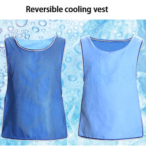 Rompi Pendingin Musim Panas Unisex Reflektif Berbahan Jaring PVA, Dapat Dibalik, Berkualitas Tinggi, Pasokan Langsung Pabrik, Cocok untuk Olahraga dan Aktivitas Luar Ruangan - Product Image 2