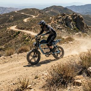 Abenteuer-Trekking-Mountainbike mit 20 Zoll Fat Tires, E-Mountainbike für Geländewege und Feuerwehrstraßen - Product Image 4