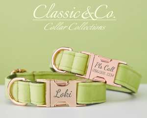 Avocat Vee personnaliser collier de chien laisse Se avec fleur et noeud papillon pour homme femme Pe, étiquette de nom gravée en or, chiot de mariage - Product Image 1