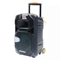 T Enceintes portables d'extérieur Enceintes stéréo sans fil Bluetooth Trolley Enceinte d'extérieur avec lumière Vente en gros