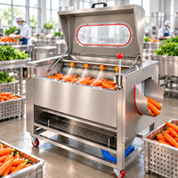 Machine de nettoyage à rouleaux pour légumes, pour l'élimination de la boue, le lavage et le pelage