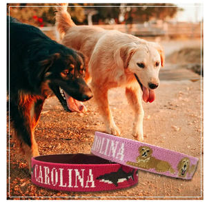 SND109 Collar de perro bordado de cuero genuino con patrón de tiburón de fondo rojo personalizado - Product Image 4