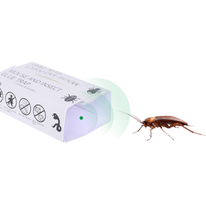 Piège à colle pour souris et insectes domestiques, carte adhésive en papier pour attraper et tuer les nuisibles - Product Image 5