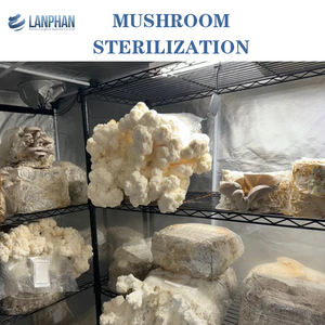 <span class=keywords><strong>Autoclave</strong></span> Sterilizzatore Industriale Grande Interamente in Acciaio Inox da 200 Litri 250 Litri per Funghi Magazzino Estero USA - Product Image 3