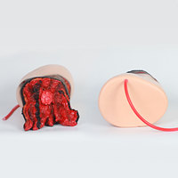 Maniquí de Hemostasia de Heridas para Enseñanza Médica DARHMMY, Amputación de Pierna Traumática Realista, Torso para Prácticas de Respuesta Médica, PVC