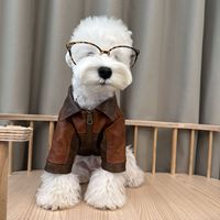Vêtements pour chiens toutes saisons Schnauzer Bichon Frise Teddy Shiba Inu West Highland Veste en cuir vintage rétro de taille moyenne