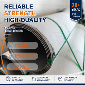 Hot Rolled 316 316L No.4 5.0mm x 2000mm GB T3280 ID 508mm Stainless Steel Coil with Superior Surface Quality - Product Image 1