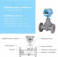 LUXZ Series Swirl Flow Meter